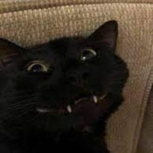 Meet your Posher, A weird